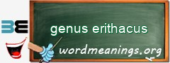 WordMeaning blackboard for genus erithacus